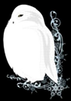 whiteowl.jpg